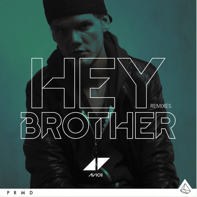 Avicii - Hey Brother